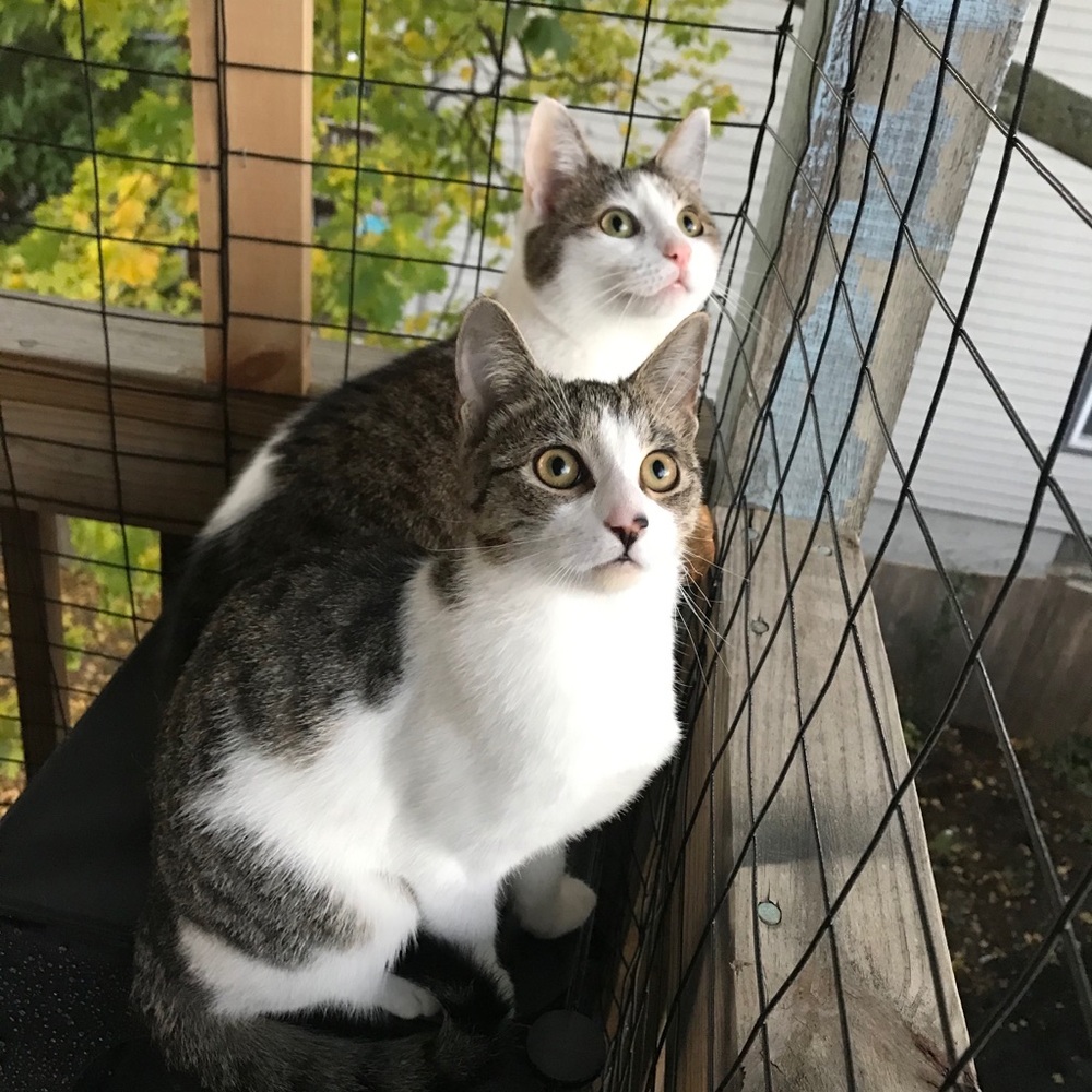 Meet your Posher, Jill